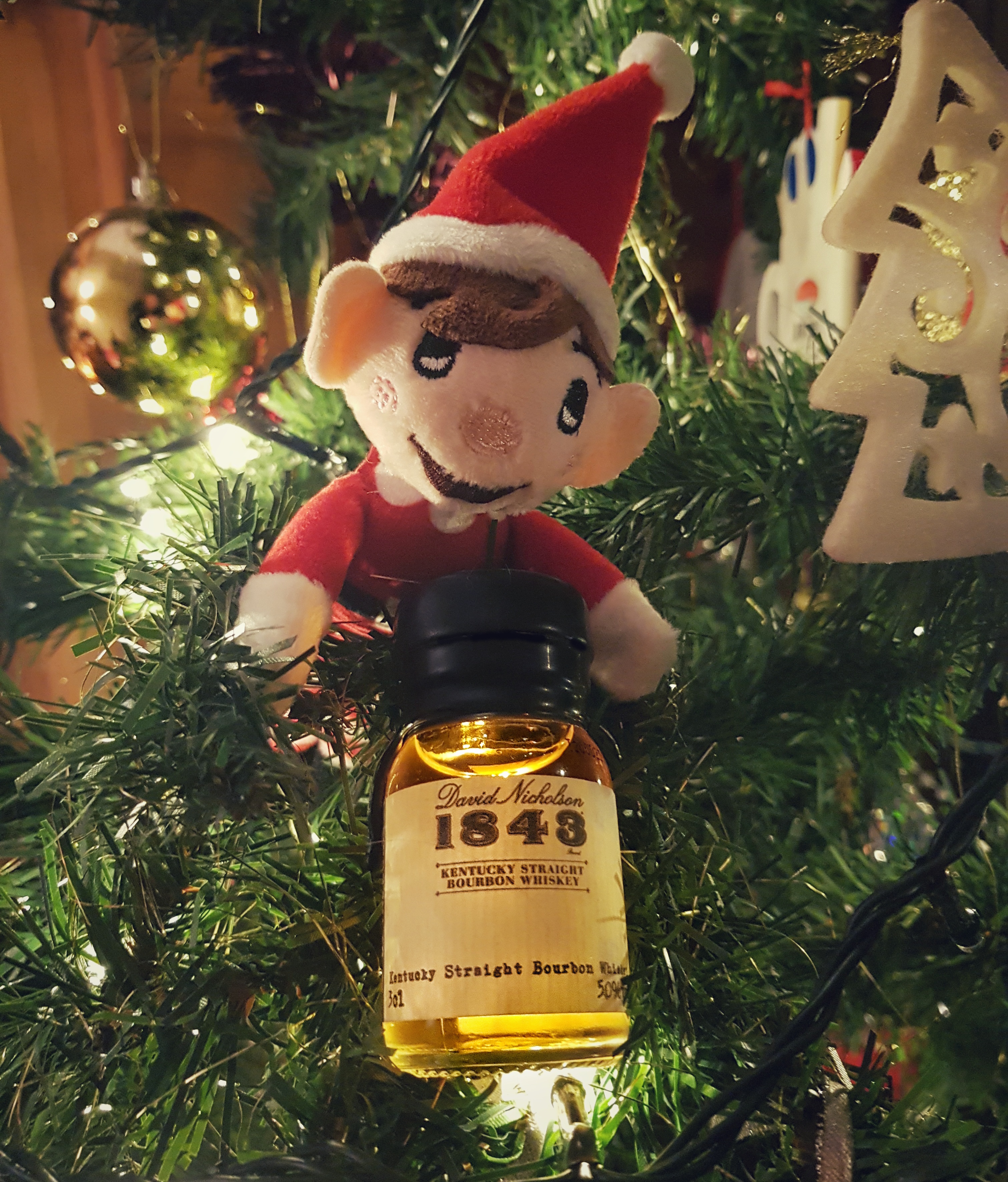 20181217_223629_001-01